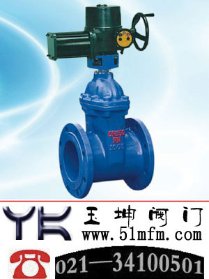 点击查看RVEX电动弹性座封闸阀大图
